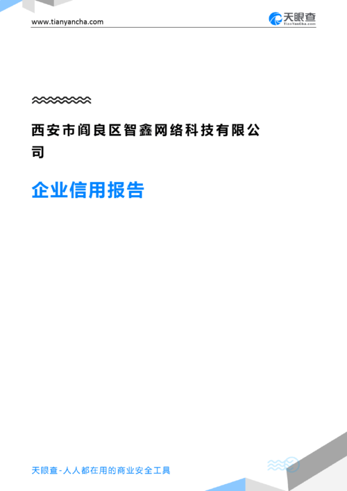 西安市阎良区智鑫网络科技